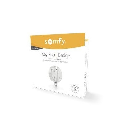 Télécommande alarme Somfy - 2401489 - Sécurité