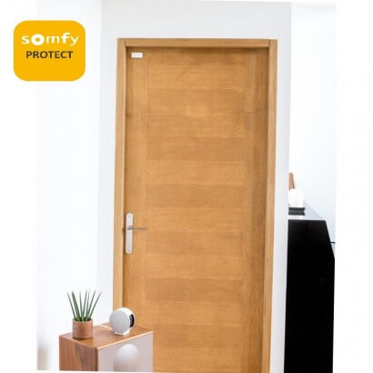 Détecteur de vibration IntelliTag Somfy Protect